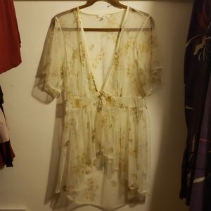 Beautiful Sheer Blouse